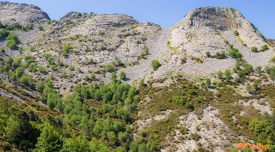 Isola_Elba_monte_Capanne_vegetazione_appenninica