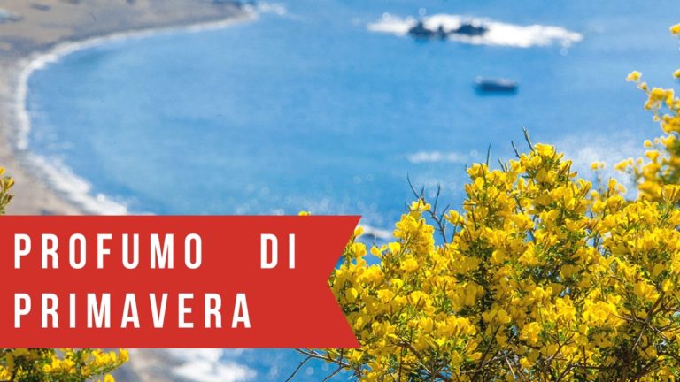 Foto: La Primavera è un Profumo