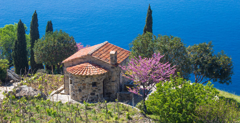 Foto: Vacanza da sogno all’isola d’Elba spendendo pochissimo