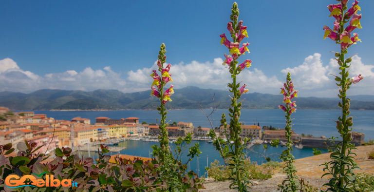 Foto: Un giardino botanico involontario all’isola d’Elba