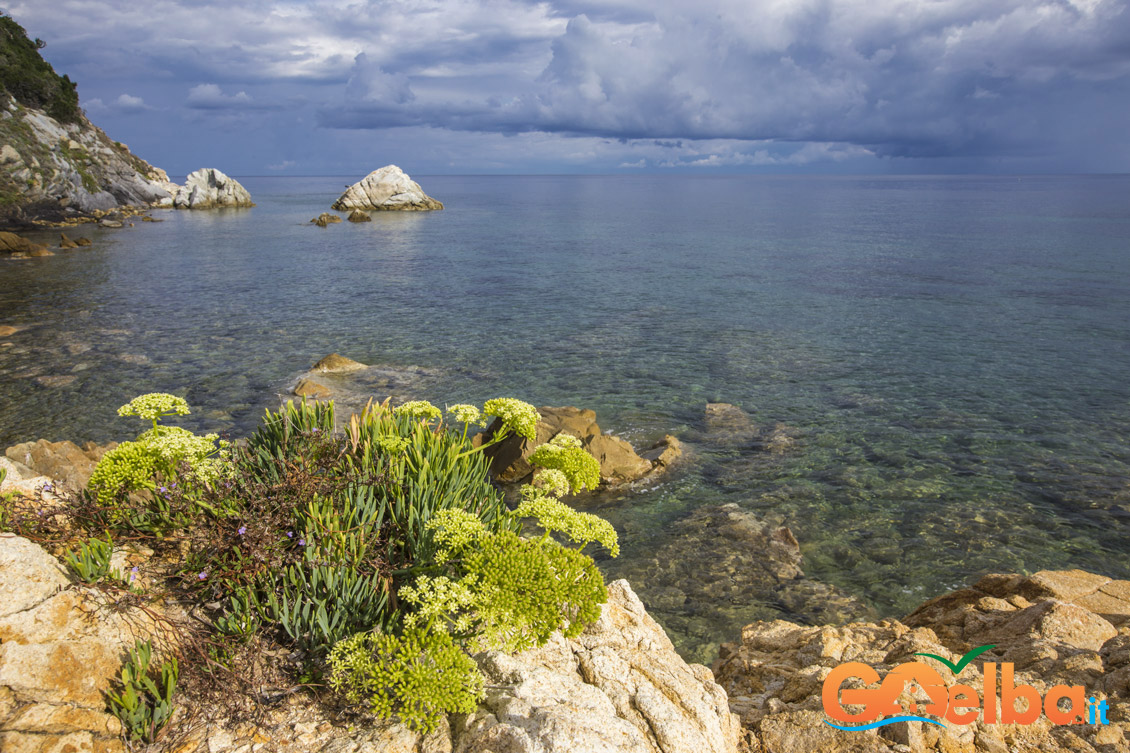 scogliera isola d'elba 