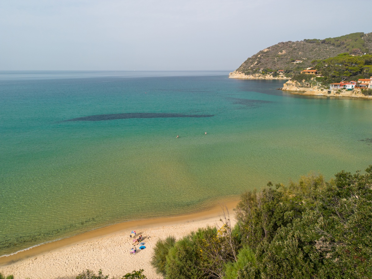 Photo de La Terrazza sulla Biodola