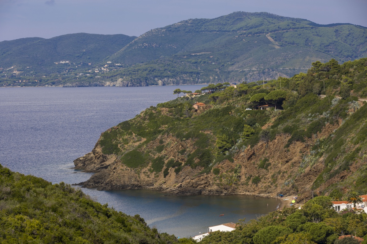 Picture of Dhamma Home 