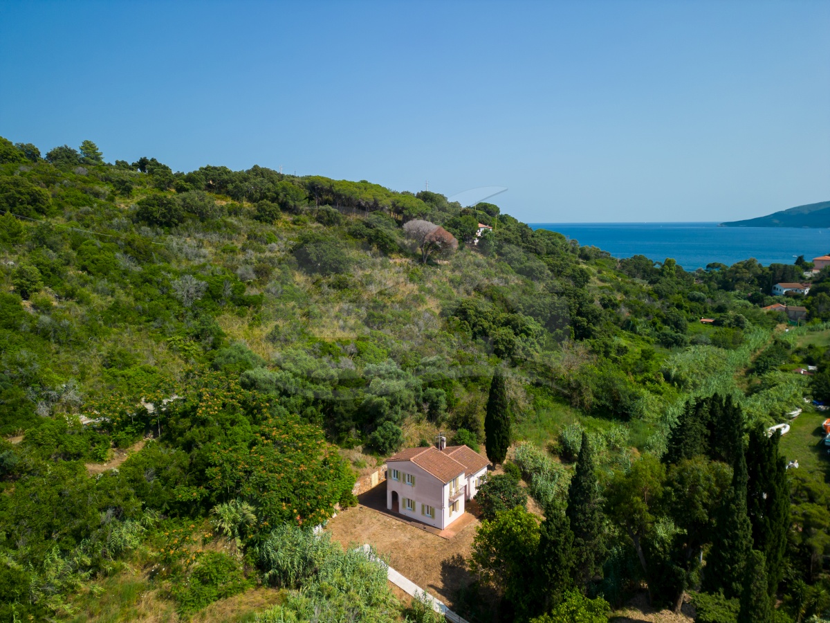 Picture of Villa Ivana