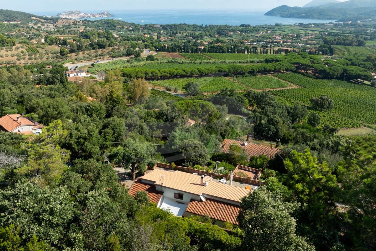 Photo de Villa Francy