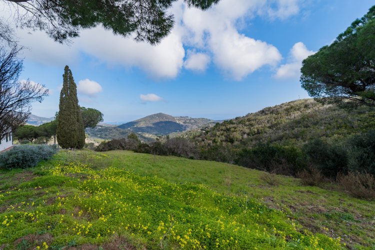 Photo de Appartamenti Campo al Pero