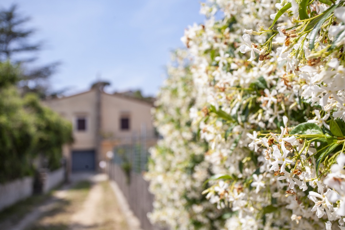 Foto von:  Villetta Capo Bianco 