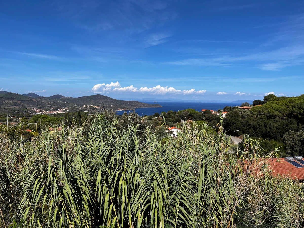 Appartamenti Le Lecce Capoliveri Isola d'Elba 