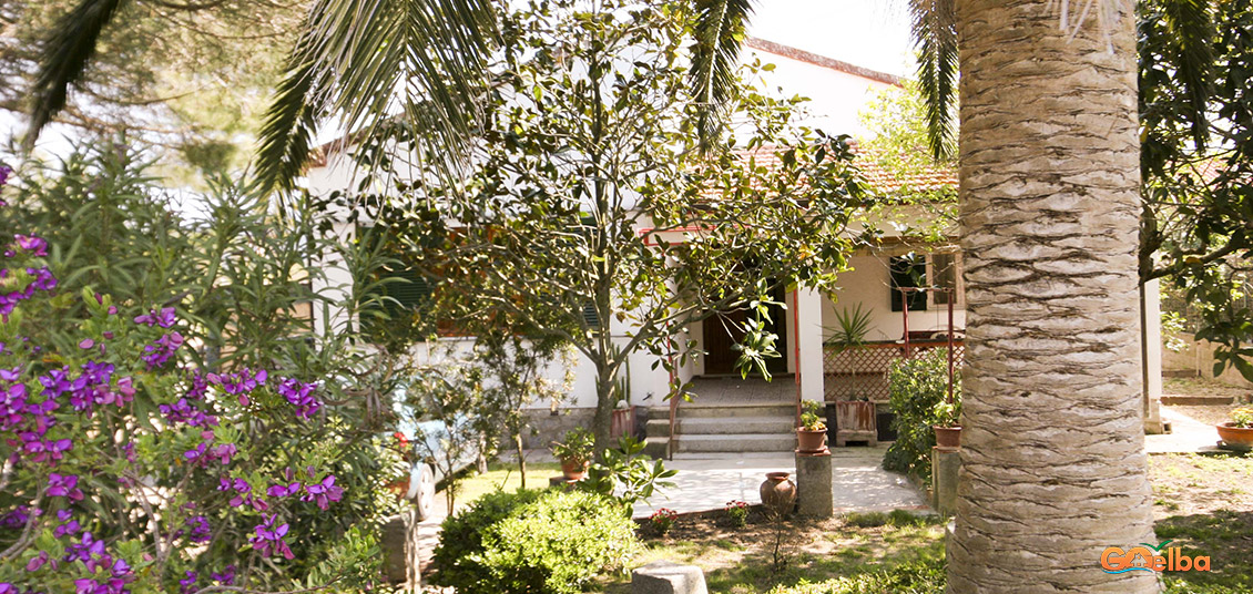 Annarita apartments Marina di Campo Garden with palm trees