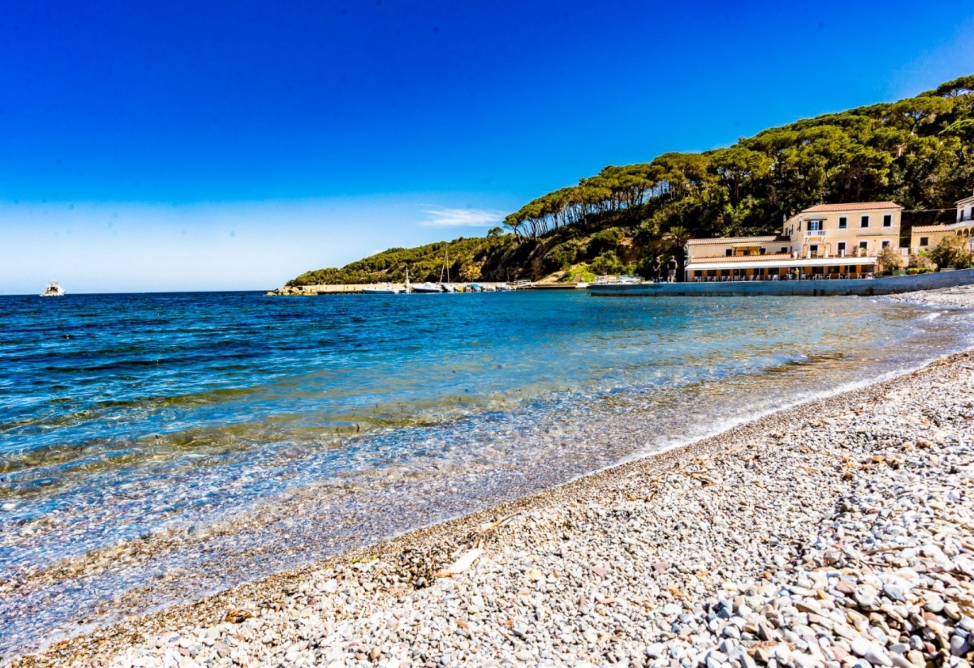 Acquariese - Margot e Giotto