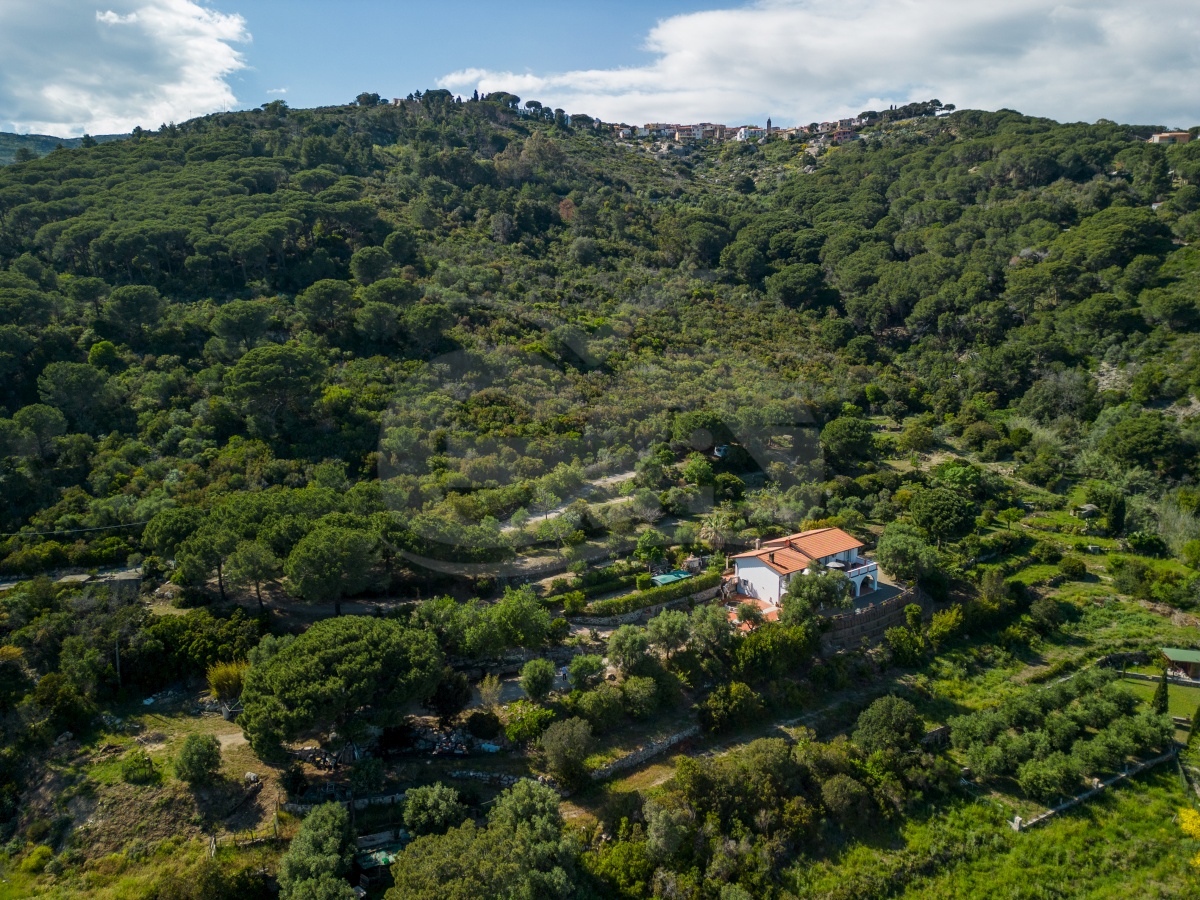 La Palazzina Nel Verde