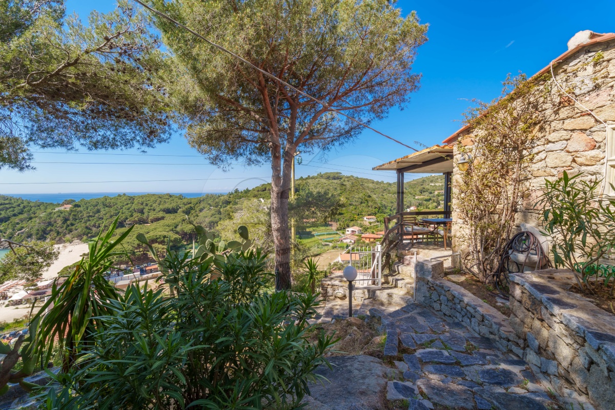 Casa dell'Asino