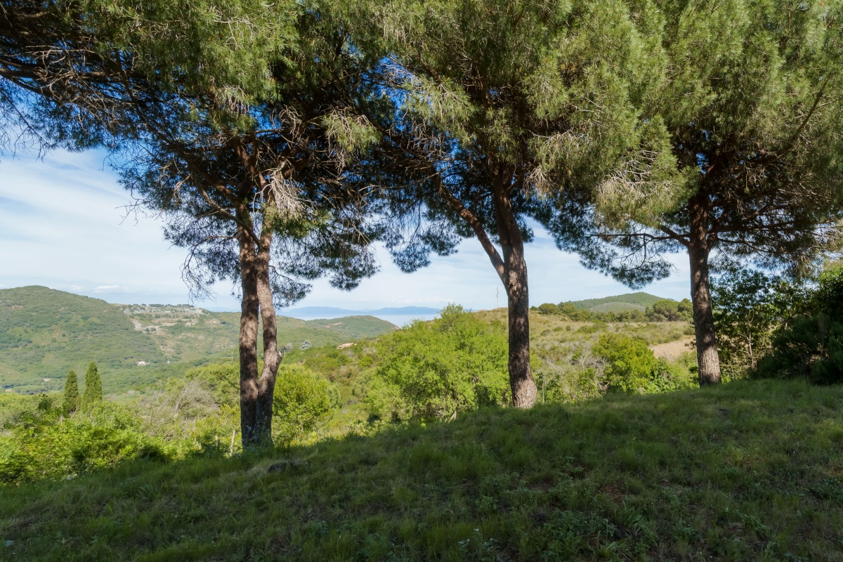 Villa Campo al Pero 
