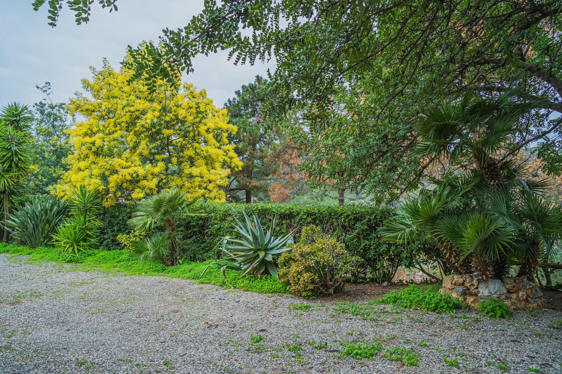 Appartamenti Villa Ariel