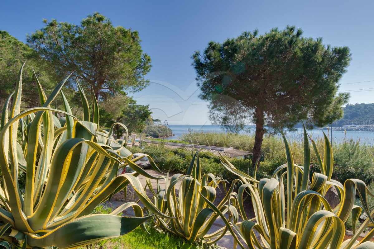 Appartamento Sud Est