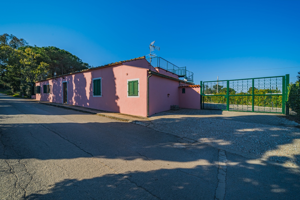 Casa Alex