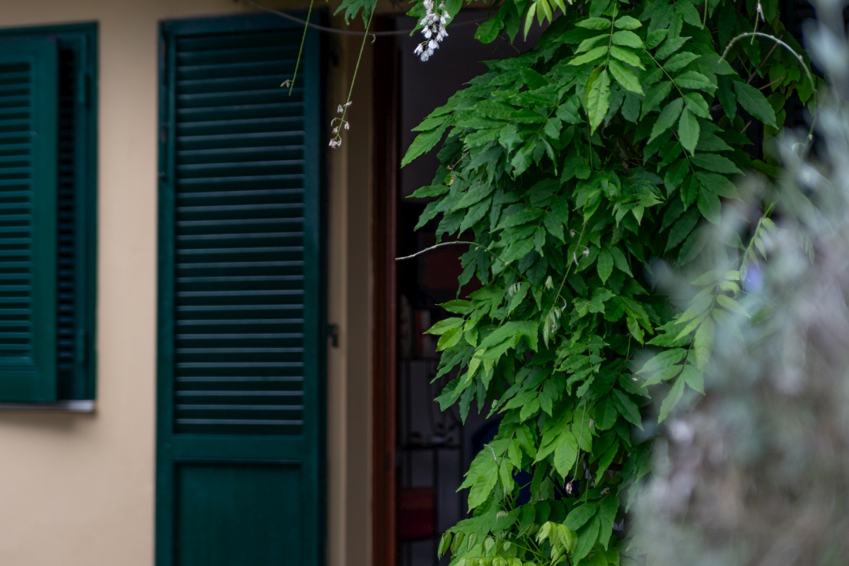 Un Giardino sul Forno