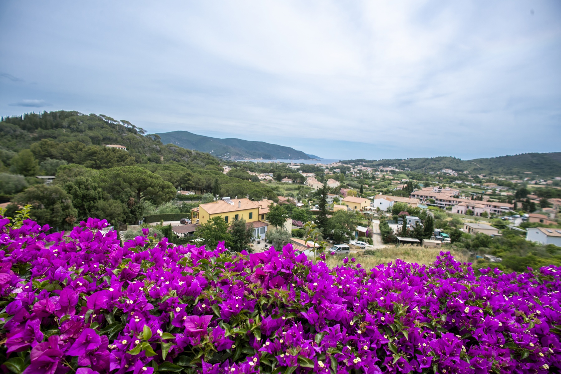 La Palazzina Nel Verde