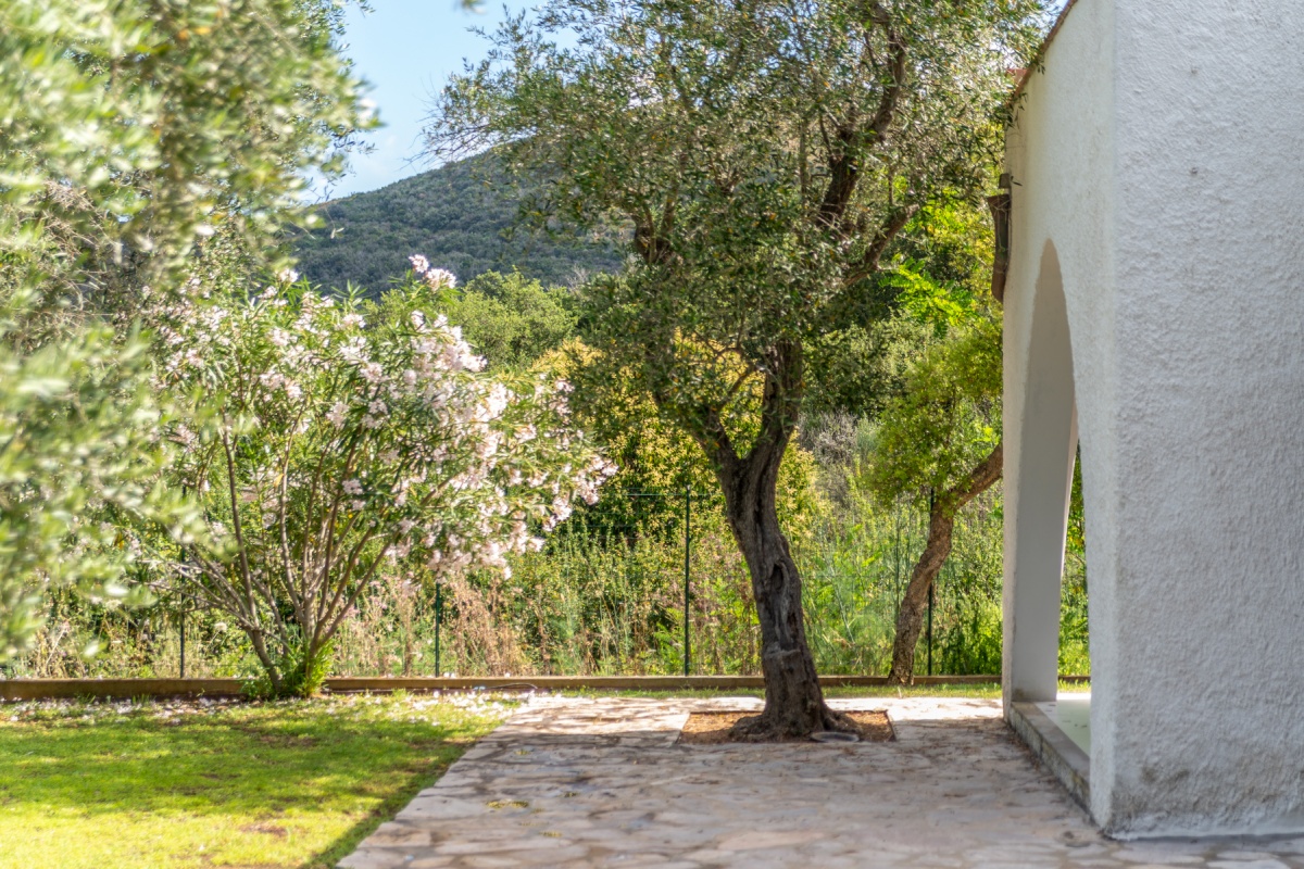 Villetta Olea 
