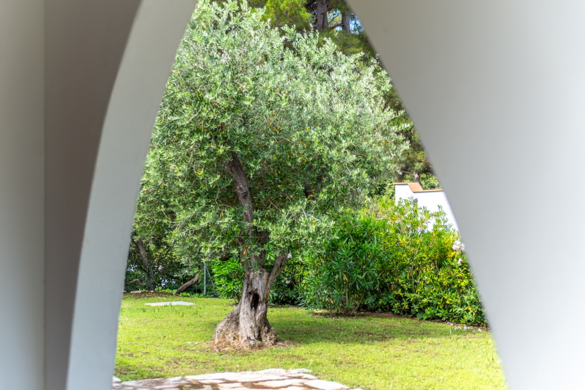 Villetta Olea 