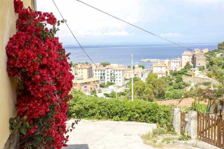 Appartamenti La Panoramica