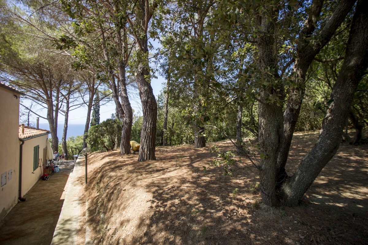 Villetta per La Biodola